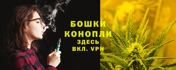 винт Горно-Алтайск