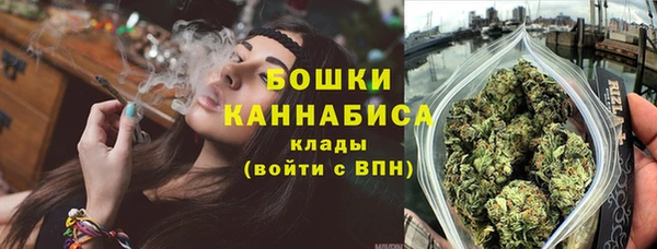 дмт Гусь-Хрустальный