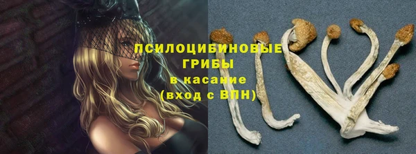mix Гусев