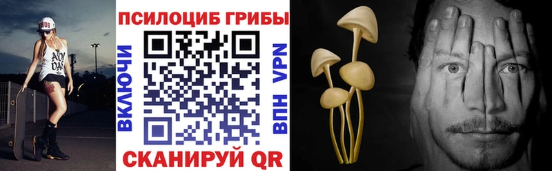 Псилоцибиновые грибы Cubensis  Дальнереченск 
